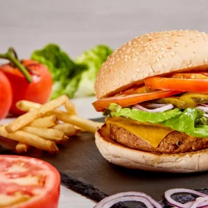 MR. BURGER VEGETAL